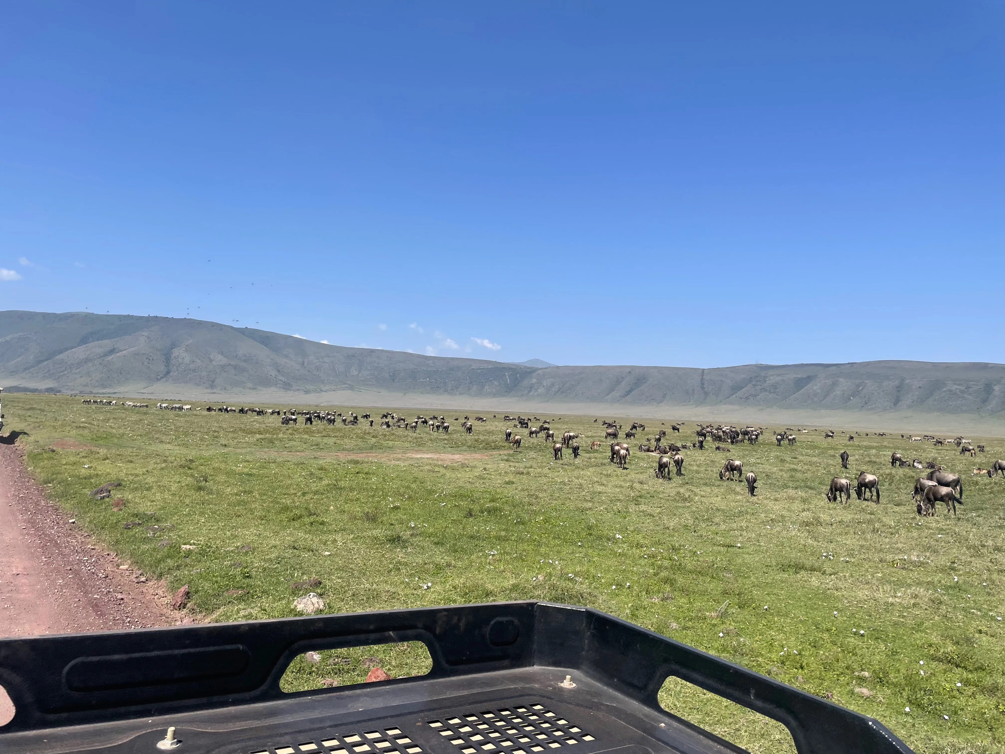 Wildlife on the Ngorongoro Crater floor