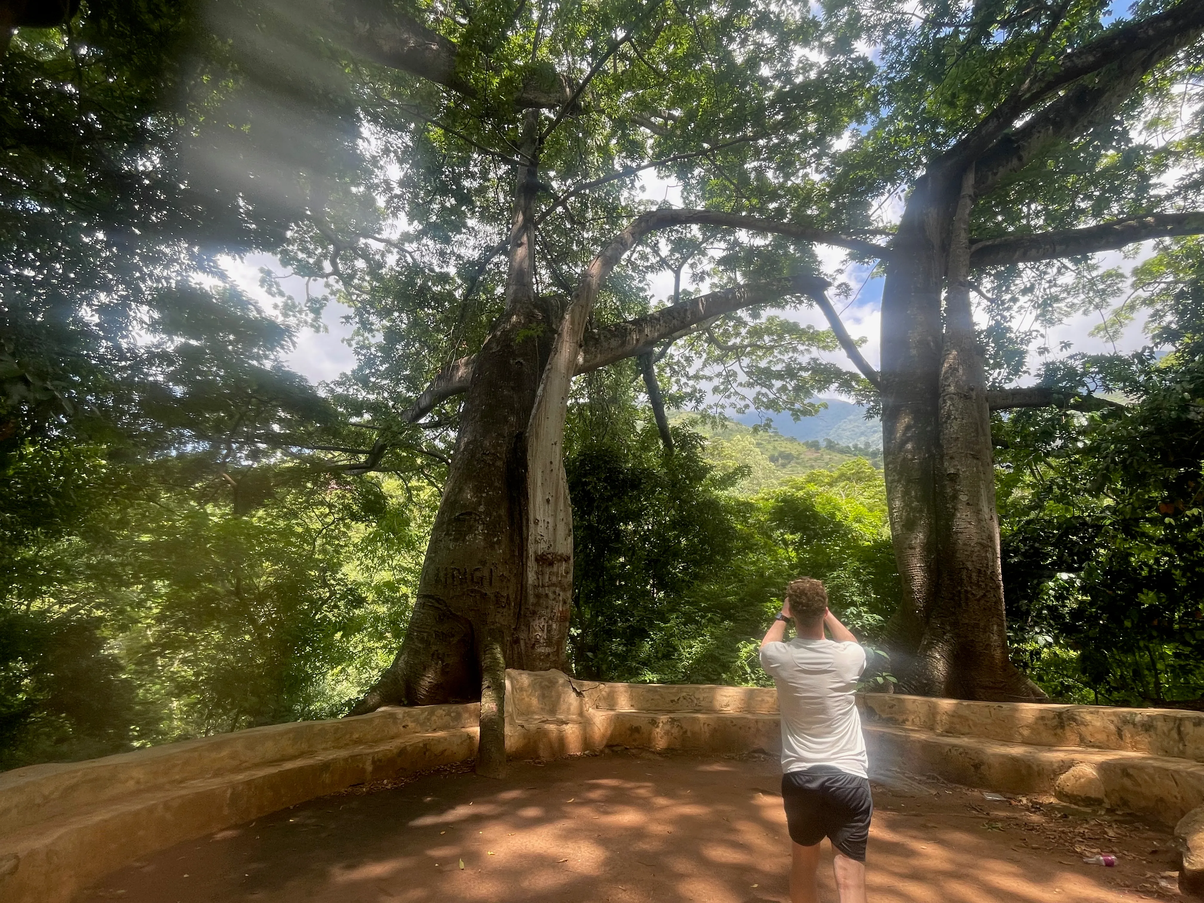A large tree and lookout point on the Choma mountain route