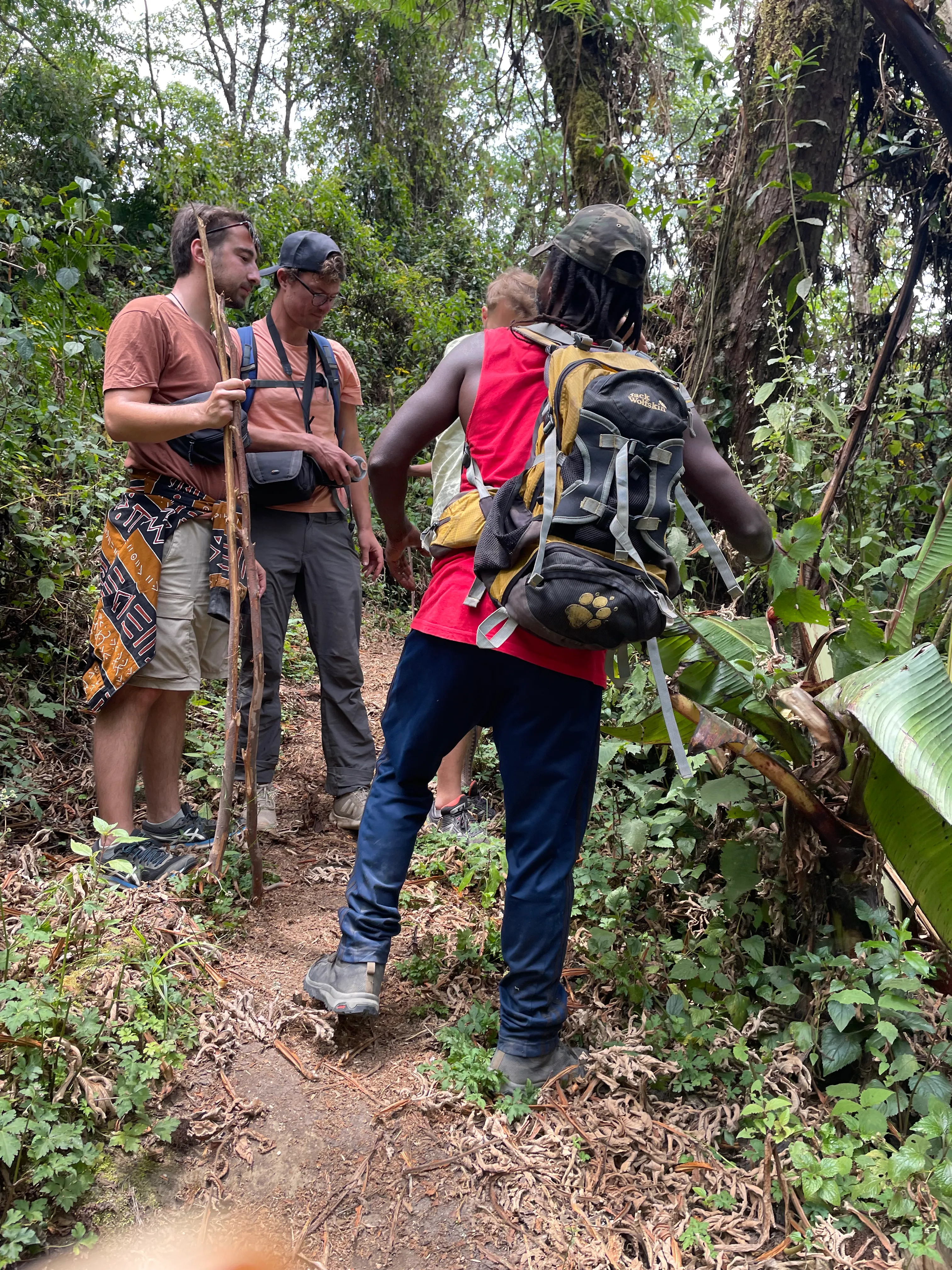 Local guide and travellers together on the forest trail toward Lake Ngozi